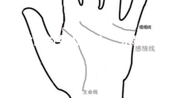 鼻梁高的女人面相，从鼻子看富贵